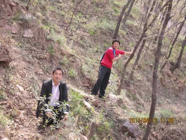 �ɂ�����ĄӮ�Ƭ