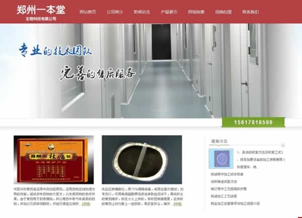 ����һ��������